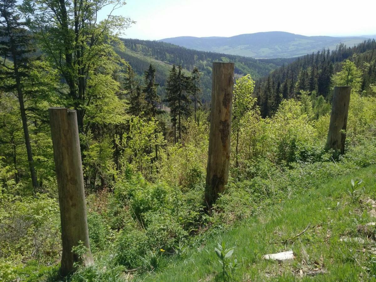 Apartmany Sport Долні-Морава Екстер'єр фото